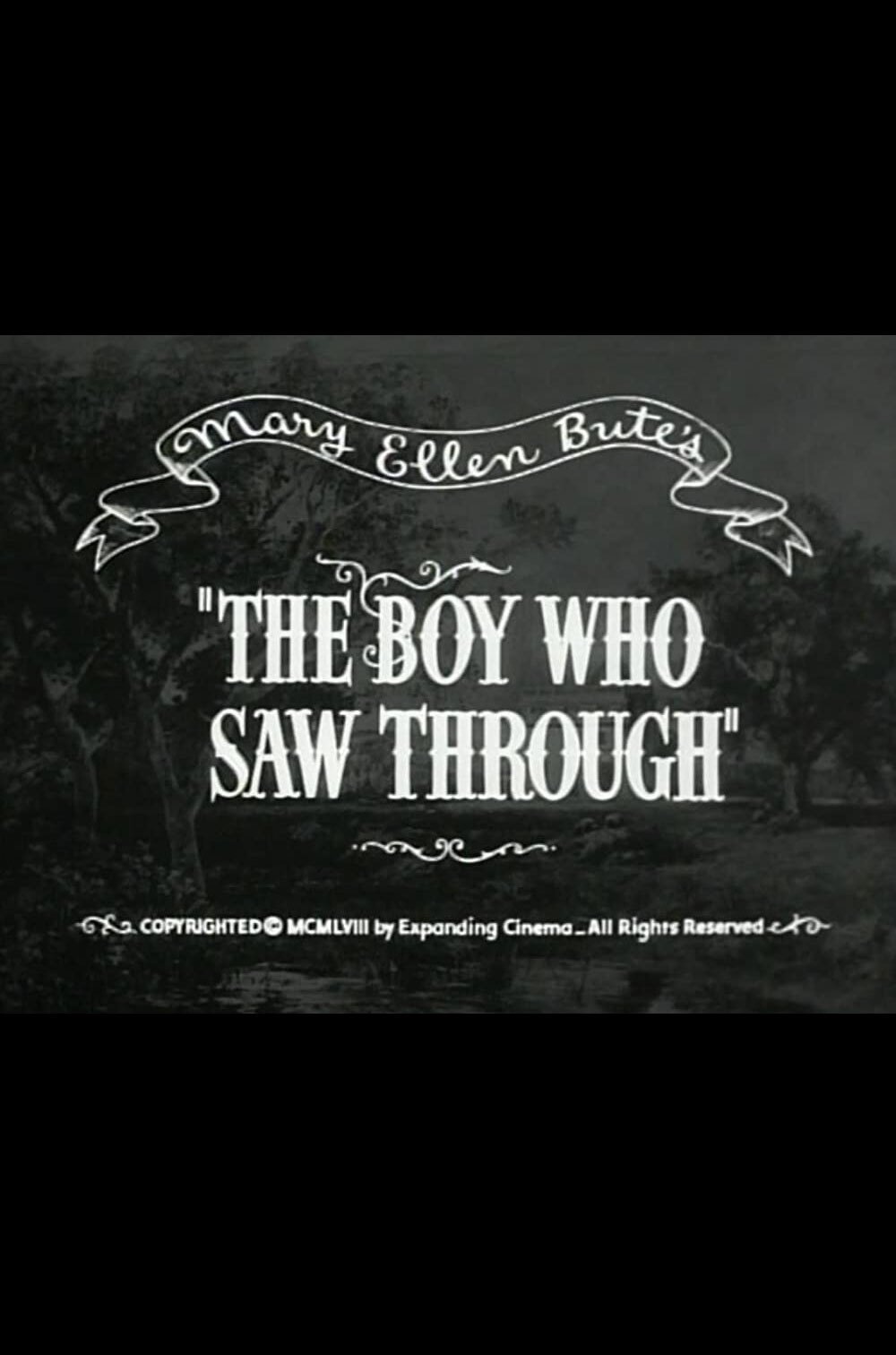 Постер The Boy Who Saw Through